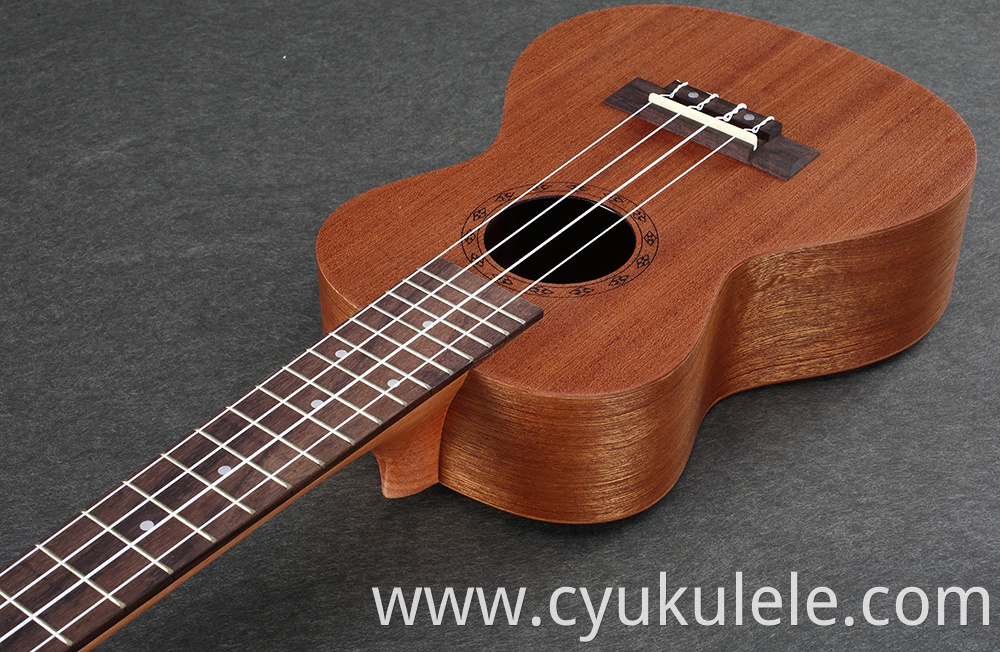 ukulele24